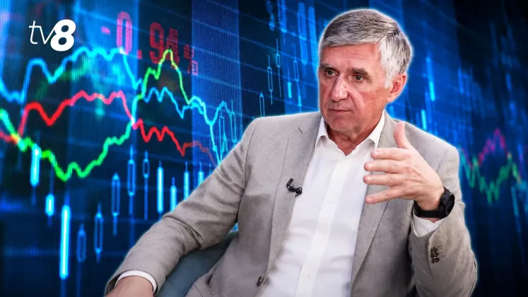 Ion Sturza economie
