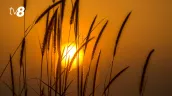 /METEO/ Vremea azi, 28 iunie 2026: Cer senin și temperaturi de până la +38 de grade Celsius