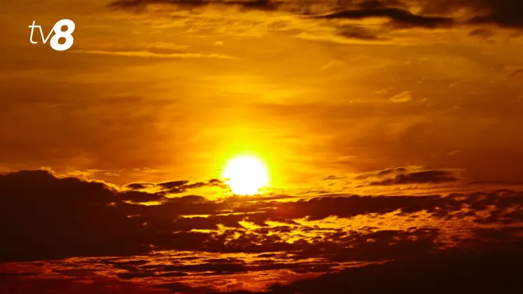 caniculă meteo (7)