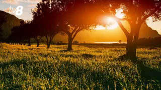 Alerta de caniculă, prelungită în toată Moldova: Temperaturile vor urca până la +36°C în unele zone