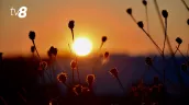 В Молдову на выходных возвращается жара до +35°C: погода сегодня, 5 сентября