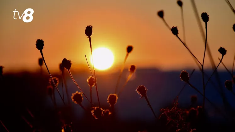 caniculă meteo (18)
