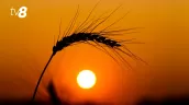 /HARTĂ/ Alertă de caniculă în toată Moldova cu temperaturi de până la +36°C: Când va fi valabil codul galben