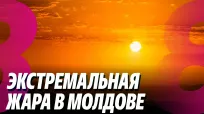Новости с Ириной Стряпко din 01 iulie 2026