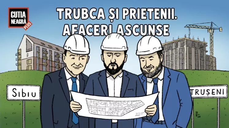 carton cutia trubca