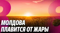 Новости с Ириной Стряпко din 04 august 2026