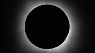 Сегодня, 12 августа, происходит солнечное затмение. Какая часть Солнца будет закрыта?