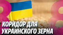 Новости с Ириной Стряпко din 12 august 2026