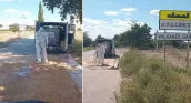 В Вулканештах действует карантин из-за африканской чумы свиней: вывоз мяса под запретом