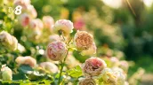 Погода сегодня, 4 сентября: снова солнечно, но не везде