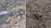 /VIDEO/ Alertă la Ștefan Vodă: Explozie și incendiu după prăbușirea unui aparat de zbor. Primele imagini