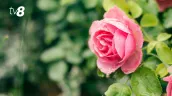 Погода сегодня, 3 сентября: приходят небольшие дожди