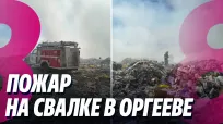 Новости с Ириной Стряпко din 20 august 2026