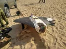 В Болгарии на побережье Черного моря обнаружили два упавших беспилотника 
