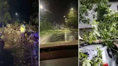/ВИДЕО/ Последствия непогоды в Унгенах: ветер и ливни сломали около сотни деревьев, повреждены электросети