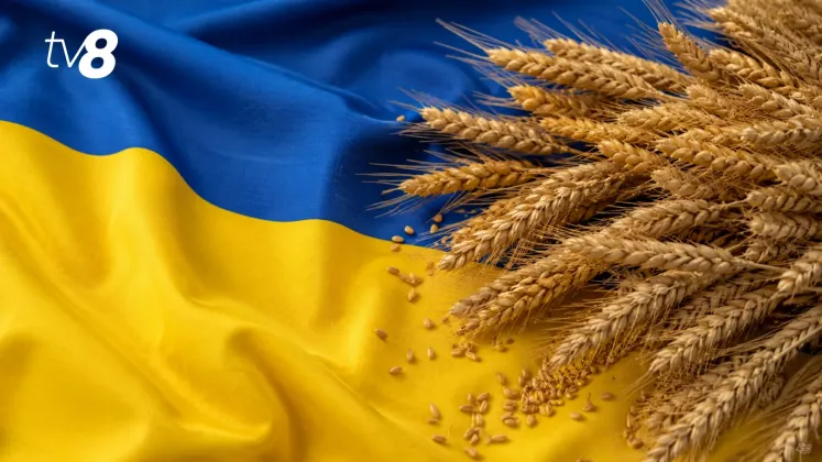 cereale ucraina