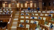 /VIDEO/ Scandal în Parlament: PAS a pierdut votul opoziției pentru licențierea importurilor de cereale din Ucraina