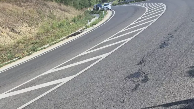 cristi (35)