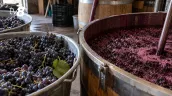 Victima tulburelului: Un bărbat a murit la Cantemir, intoxicat cu dioxid de carbon de la fermentarea vinului