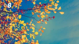 /METEO/ Vremea azi, 26 septembrie 2026: Cer noros și ploi în Capitală. Temperaturile urcă până la +23 de grade