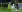 Schimbare de lider în campionatul intern de fotbal: Sheriff o detronează pe Zimbru după scorul etapei