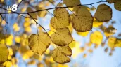 Погода сегодня, 28 сентября: солнце, облака и ветер