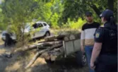 Поймали с прицепом дров. Жителя Бричанского района подозревают в незаконной вырубке деревьев у границы