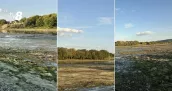 /ФОТО/ Уровень Днестра опустился до исторического минимума: как выглядит река на севере Молдовы