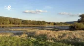 В Молдове продлили до 16 октября красный код из-за обмеления Днестра и малых рек