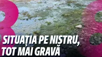 Știri cu Angela Gonța din 29 septembrie 2026