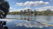 Дожди привели к увеличению уровня Днестра на севере Молдовы 