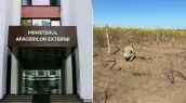 Массовое падение беспилотников: в МИД Молдовы снова вызвали российского посла для вручения ноты протеста
