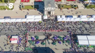 /ФОТО/ В Молдове на день вина собрали самое больше изображение виноградной лозы. Рекорд внесен в книгу Гиннесса