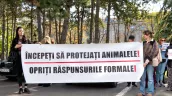 /VIDEO/ Cruzimea față de animale i-a scos în stradă: Activiștii cer pedepse mai dure și o structură specializată