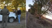 /ВИДЕО/ Жителя Бричанского района оштрафовали за обрезку ореховых деревьев: ущерб превысил 30 000 леев