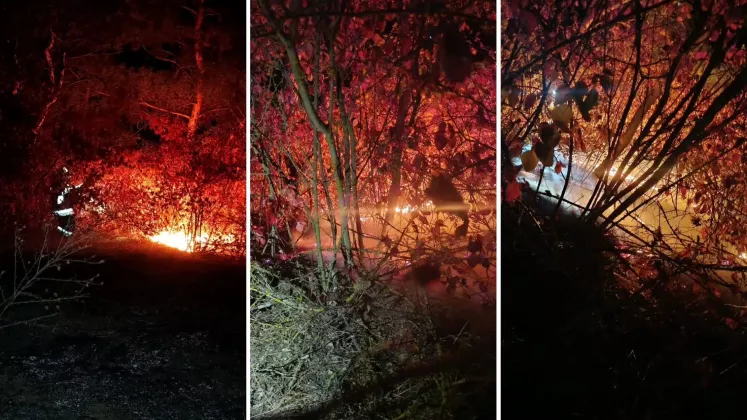 incendiu ocnita