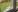 Trei minori din Tiraspol au spart geamul unei case. Părinții riscă amenzi