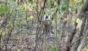В Новоаненском районе обнаружили упавший беспилотник. Его боевую часть обезвредили