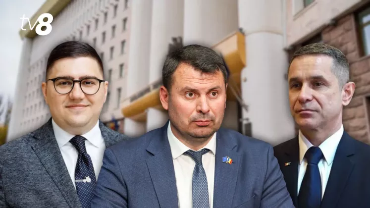 cristi (25)