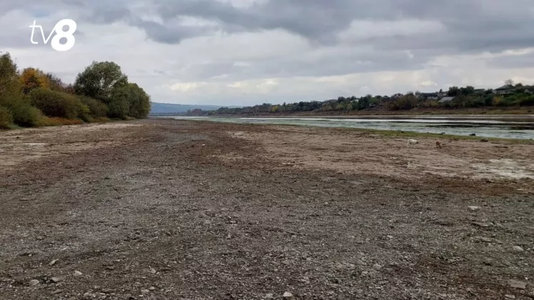 nistru
