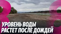 Новости с Яной Степаненко din 19 octombrie 2026