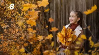 Vacanța de toamnă 2026 în Moldova: Câte zile libere vor avea elevii și când revin la ore