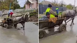 «Не уважают чужой труд»: в Хынчештском районе двое мужчин проехали на повозке по свежеуложенному бетону