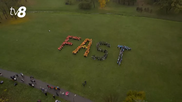 flashmob