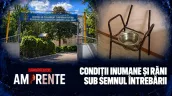 /PROMO/ AMPRENTE: Ce se întâmplă la Centrul de Plasament din Bălți? Aflăm sâmbătă, ora 20:00, la TV8
