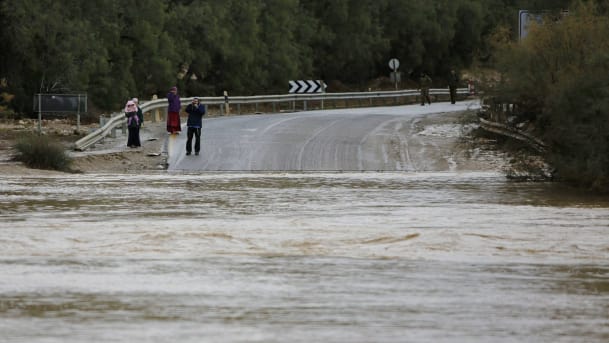 haaretz