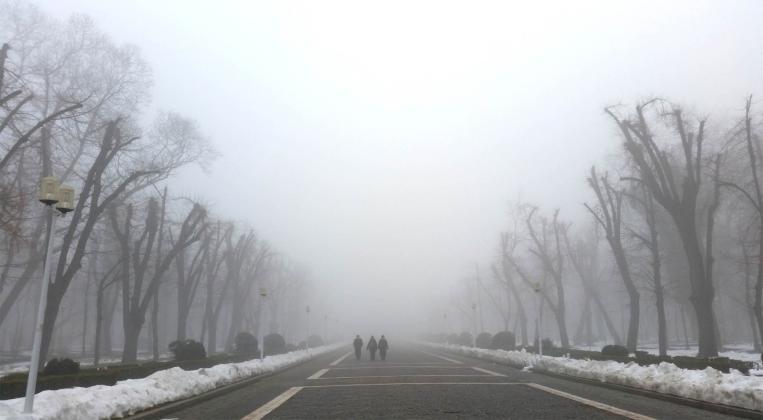 vreme-iarna-zapada-frig-ceata-parcul-carol-m6w4hnrq7v