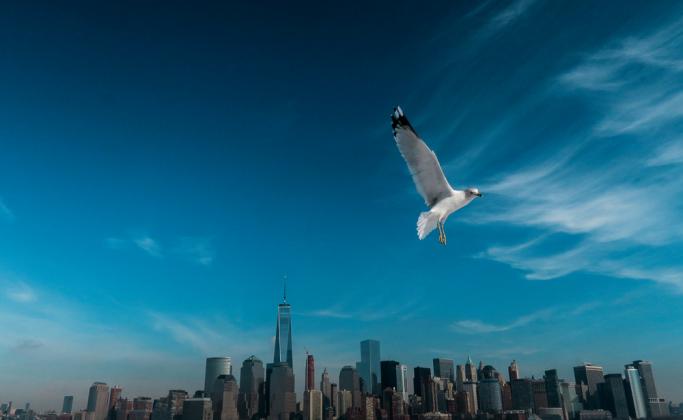 Фотография: Gary Hershorn / Corbis via Getty Images