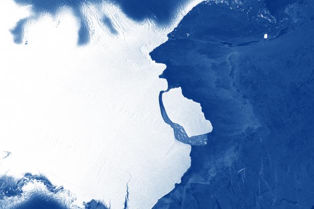Фотография: Australian Antarctic Division