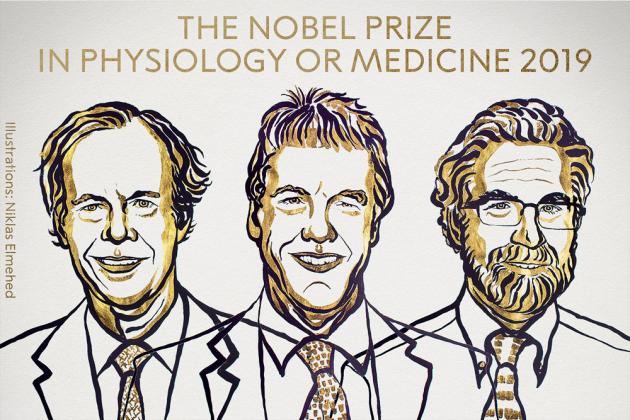 Фотография:
@NobelPrize / Twitter